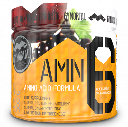 GYMortal AMN 6 Amino Powder, 300 гр